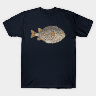 Pufferfish Vintage Fish Marine Biology Natural History Scientific Illustration T-Shirt